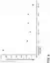 Fig. 09 - Inorganic oxide articles with thin, durable anti reflective structures