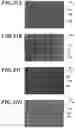 Fig. 18 - Dielectric multilayer film, method for producing same and optical member using same
