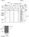 Fig. 04 - Waveguide device incorporating a light pipe