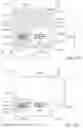 Fig. 19 - Optical arrangement for providing privacy