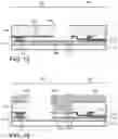 Fig. 07 - Enlarged waveguide for photonic integrated circuit without impacting interconnect layers