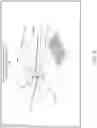Fig. 07 - Mechanical transfer ferrule based optical switch
