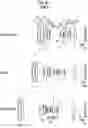 Fig. 09 - Zoom lens and imaging apparatus