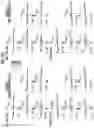 Fig. 27 - Zoom lens and imaging apparatus