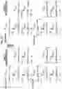 Fig. 28 - Zoom lens and imaging apparatus