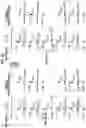 Fig. 33 - Zoom lens and imaging apparatus
