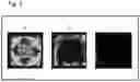 Fig. 04 - Substrate and liquid crystal display device