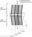 Fig. 01 - Liquid crystal display device, manufacturing method of the same and electronic equipment
