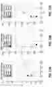 Fig. 19 - Electrolyte additive for controlling morphology and optics of reversible metal films