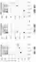 Fig. 20 - Electrolyte additive for controlling morphology and optics of reversible metal films