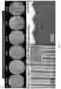 Fig. 05 - Electrochemical imprinting of micro- and nano-structures in porous silicon, silicon, and other semiconductors