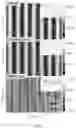 Fig. 07 - Electrochemical imprinting of micro- and nano-structures in porous silicon, silicon, and other semiconductors