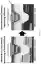 Fig. 11 - Electrochemical imprinting of micro- and nano-structures in porous silicon, silicon, and other semiconductors
