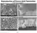 Fig. 12 - Electrochemical imprinting of micro- and nano-structures in porous silicon, silicon, and other semiconductors