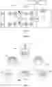 Fig. 03 - Frequency broadening apparatus and method