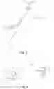 Fig. 04 - Developing apparatus