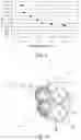 Fig. 07 - Developing apparatus