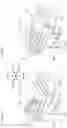 Fig. 08 - Image formation apparatus including fixation device with handle