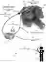 Fig. 01 - Remotely controlling a hydraulic system