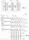 Fig. 03 - Facilitating data reduction using weighted similarity digest