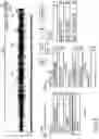 Fig. 14 - Audio content production, audio sequencing, and audio blending system and method
