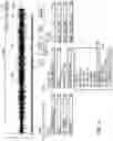 Fig. 15 - Audio content production, audio sequencing, and audio blending system and method