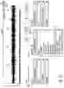Fig. 16 - Audio content production, audio sequencing, and audio blending system and method