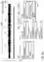 Fig. 20 - Audio content production, audio sequencing, and audio blending system and method