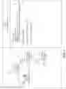 Fig. 09 - Introspection of a containerized application in a runtime environment