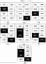 Fig. 09 - Identifying non-correctable errors using error pattern analysis