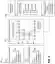 Fig. 05 - Feature toggle management with application behavior point-in-time restoration using event sourcing