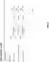 Fig. 10 - Data loss vulnerability detection