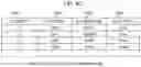 Fig. 06 - Database system and query execution method