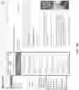 Fig. 42 - Dynamic presentation of searchable contextual actions and data