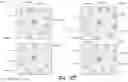 Fig. 07 - Generating occurrence contexts for objects in digital content collections