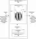 Fig. 01 - Optimization for deconvolution