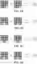 Fig. 08 - Optimization for deconvolution