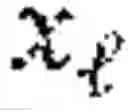 Fig. 16 - Optimized private biometric matching
