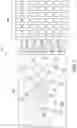 Fig. 06 - Increasing confidence scores via DCF equation mapping and automated stream inspection