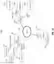 Fig. 12 - CENTRALIZED SECURITY ANALYSIS AND MANAGEMENT OF SOURCE CODE IN NETWORK ENVIRONMENTS