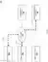 Fig. 30 - Device access control system