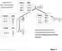 Fig. 04 - Method for setting up a secure hierarchical referencing system
