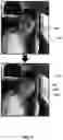Fig. 08 - Data anonymization for data labeling and development purposes