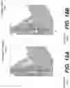 Fig. 19 - SYSTEMS AND METHODS FOR GROWTH-BASED DESIGN