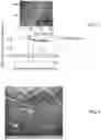 Fig. 03 - DENDRITIC STRUCTURES AND TAGS