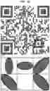 Fig. 14 - Two-dimensional bar codes that are both intensity-modulated and orientation-modulated for transmitting sensitive information along with non-sensitive information
