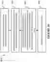 Fig. 13 - Anomaly detector for detecting anomaly using complementary classifiers