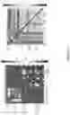 Fig. 40 - Systems and methods for heterogeneous federated transfer learning