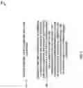 Fig. 06 - Deep neural network hardener
