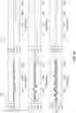 Fig. 20 - Temporal correction of tone scale errors in a digital printer